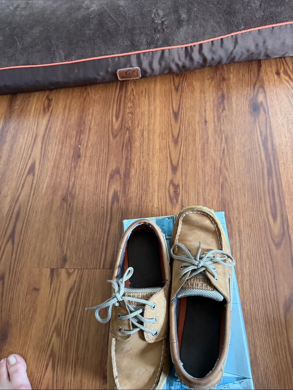 Sperry Bluefish LC Chocolate Boys Moccasins - Chocolate Brown